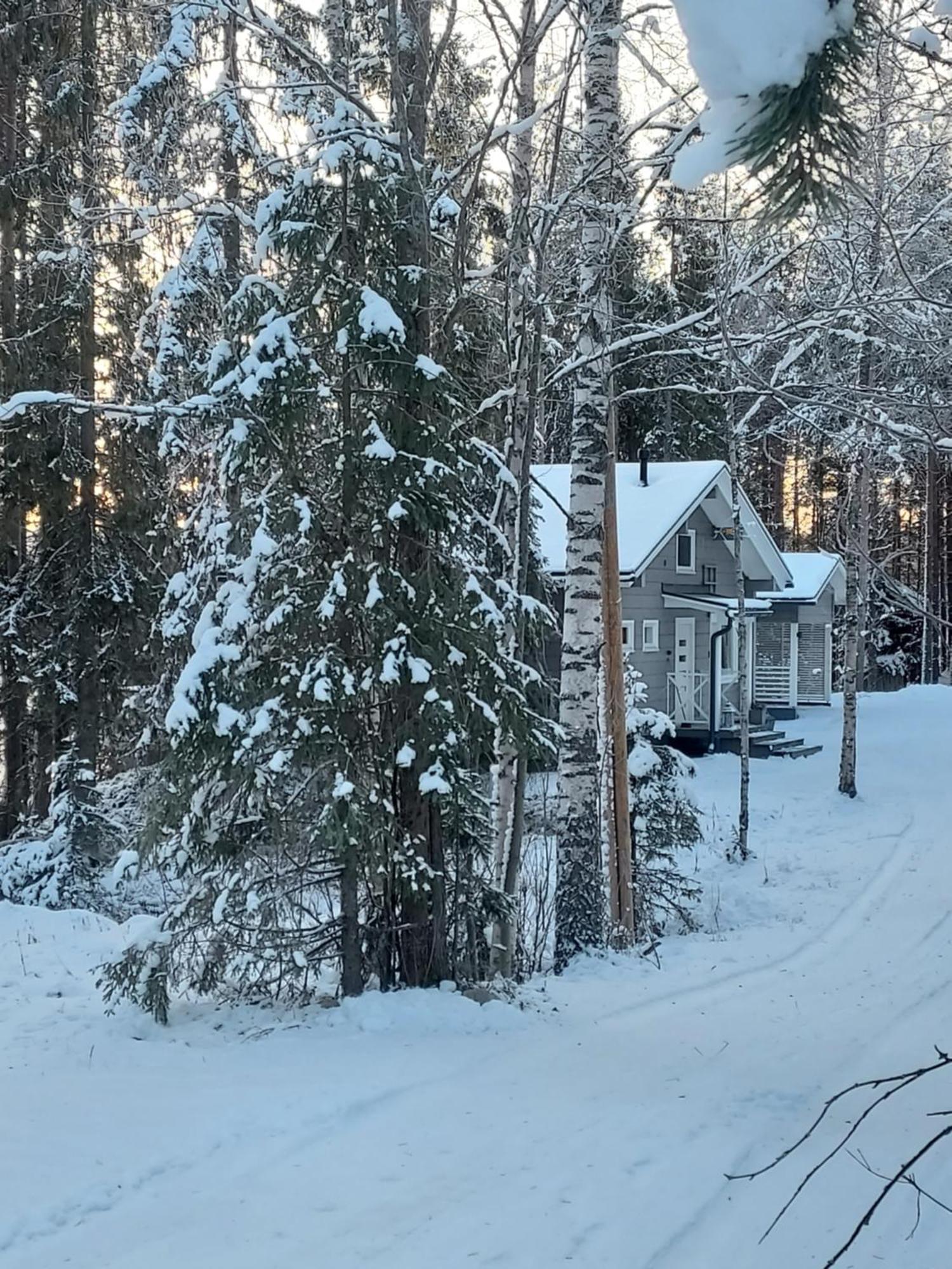Villa Sirius Sieri, Nice Log-Cottage By The Lake Rovaniemi Eksteriør bilde